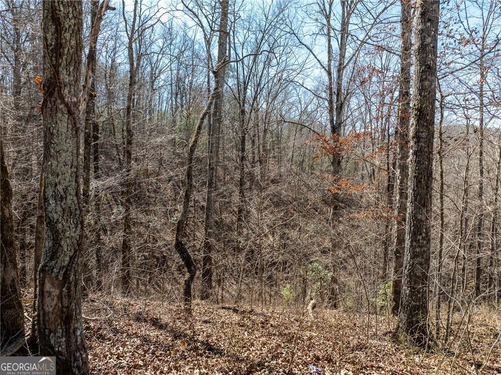 0 River Top Road # 1807 Property Photo 10