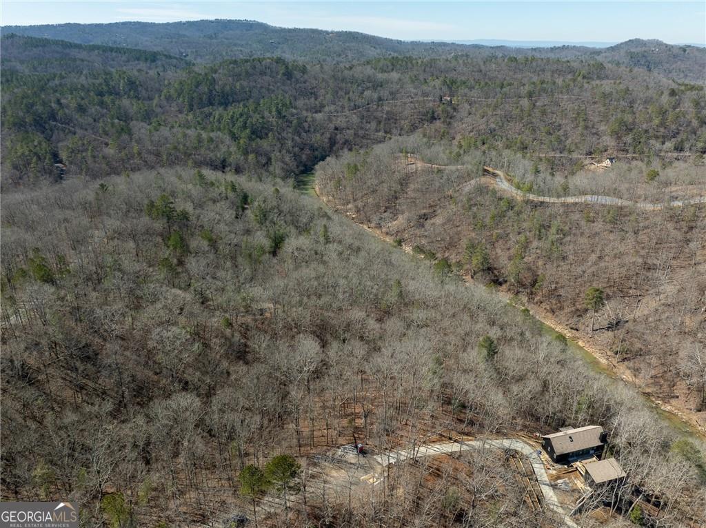 0 River Top Road # 1807 Property Photo 11