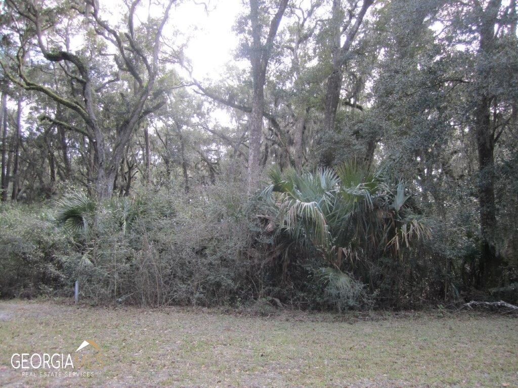 V/L 1005 Doubloon Court Property Photo 1