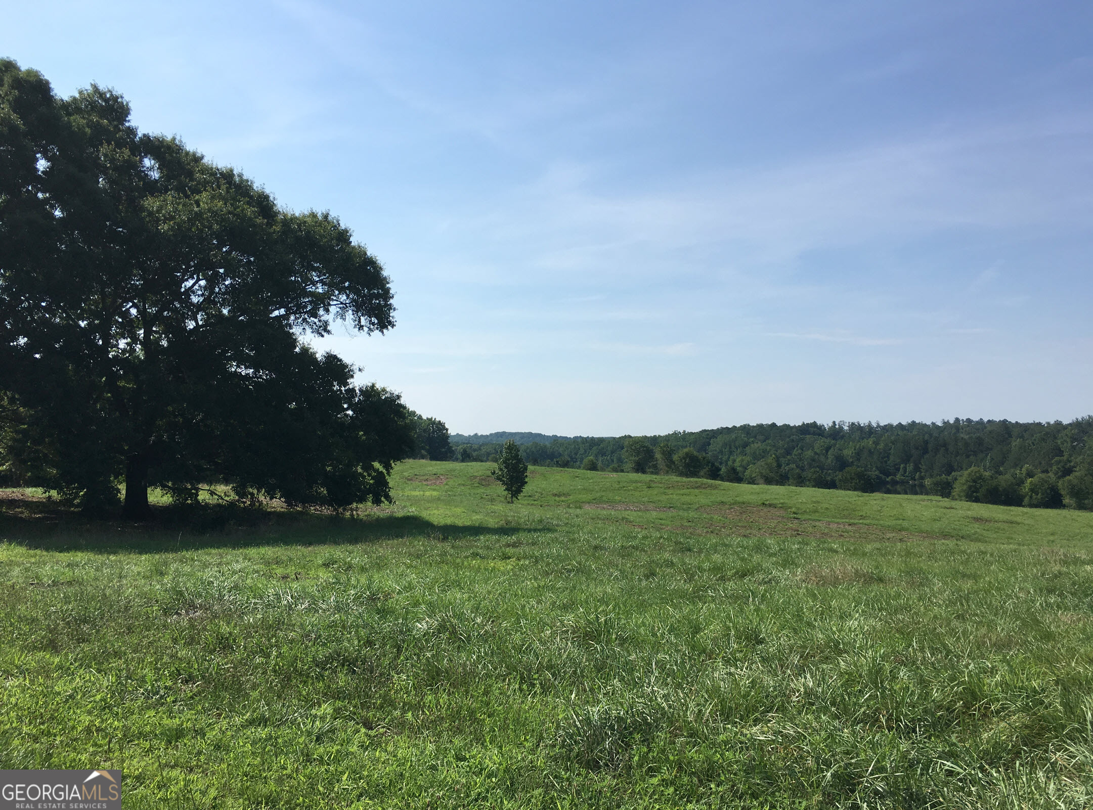 3031 Highway 138 Ne Property Photo 1