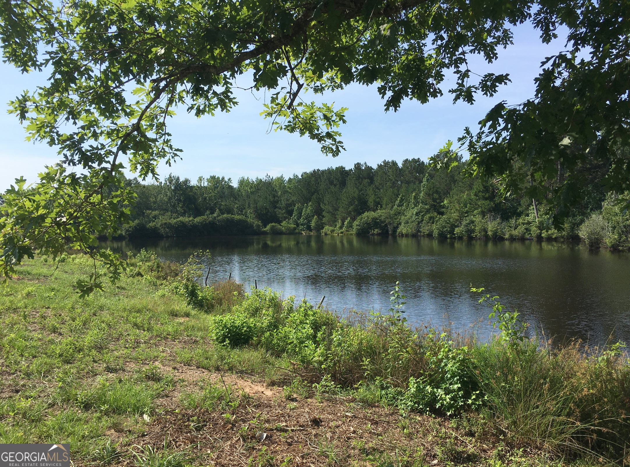 3031 Highway 138 Ne Property Photo 2