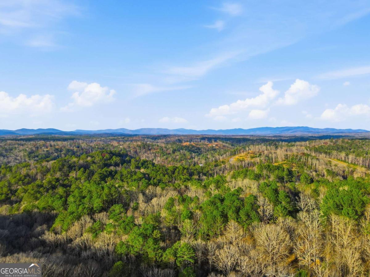 677 Catawba Circle Property Photo 62