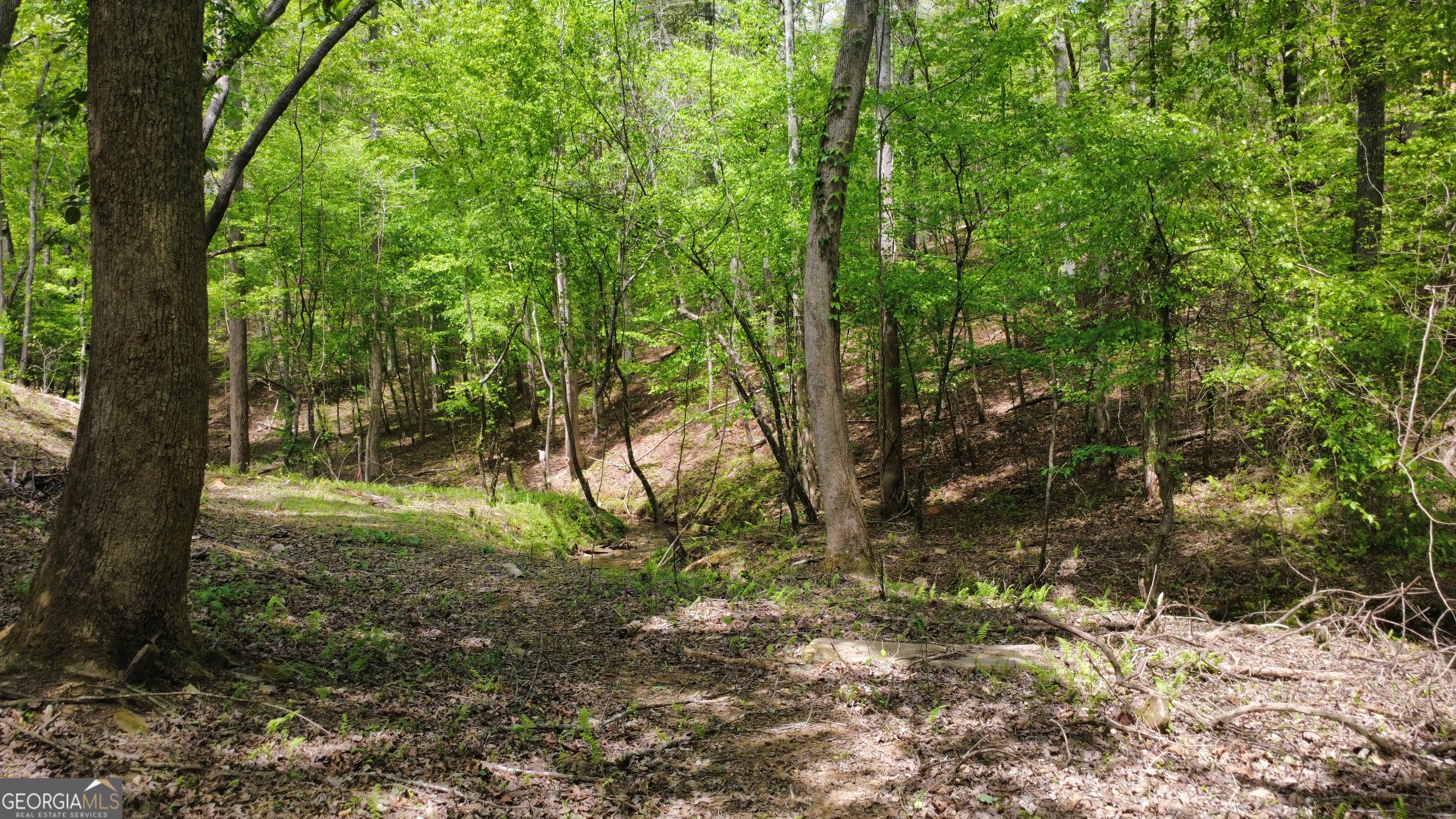 677 Catawba Circle Property Photo 71