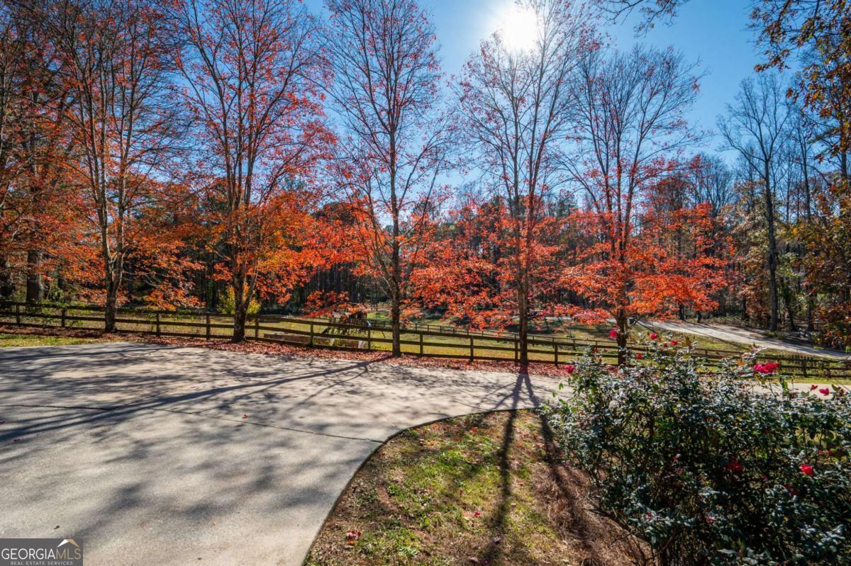 355 Clark Creek Pass Property Photo 61