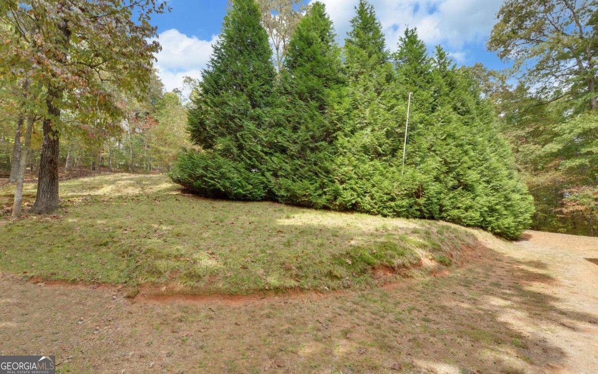 230 Pine Forest Loop Property Photo 33