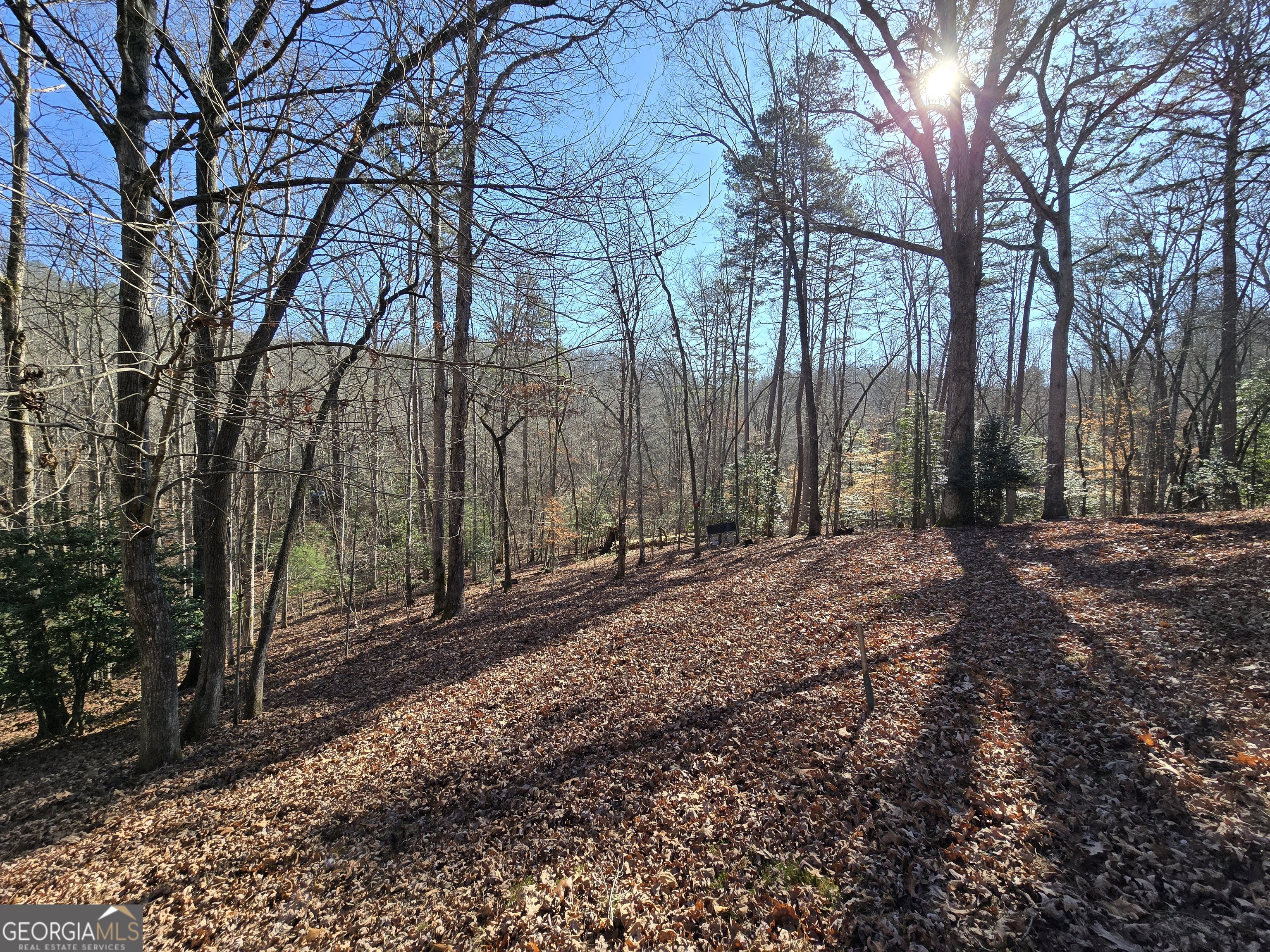 230 Pine Forest Loop Property Photo 34