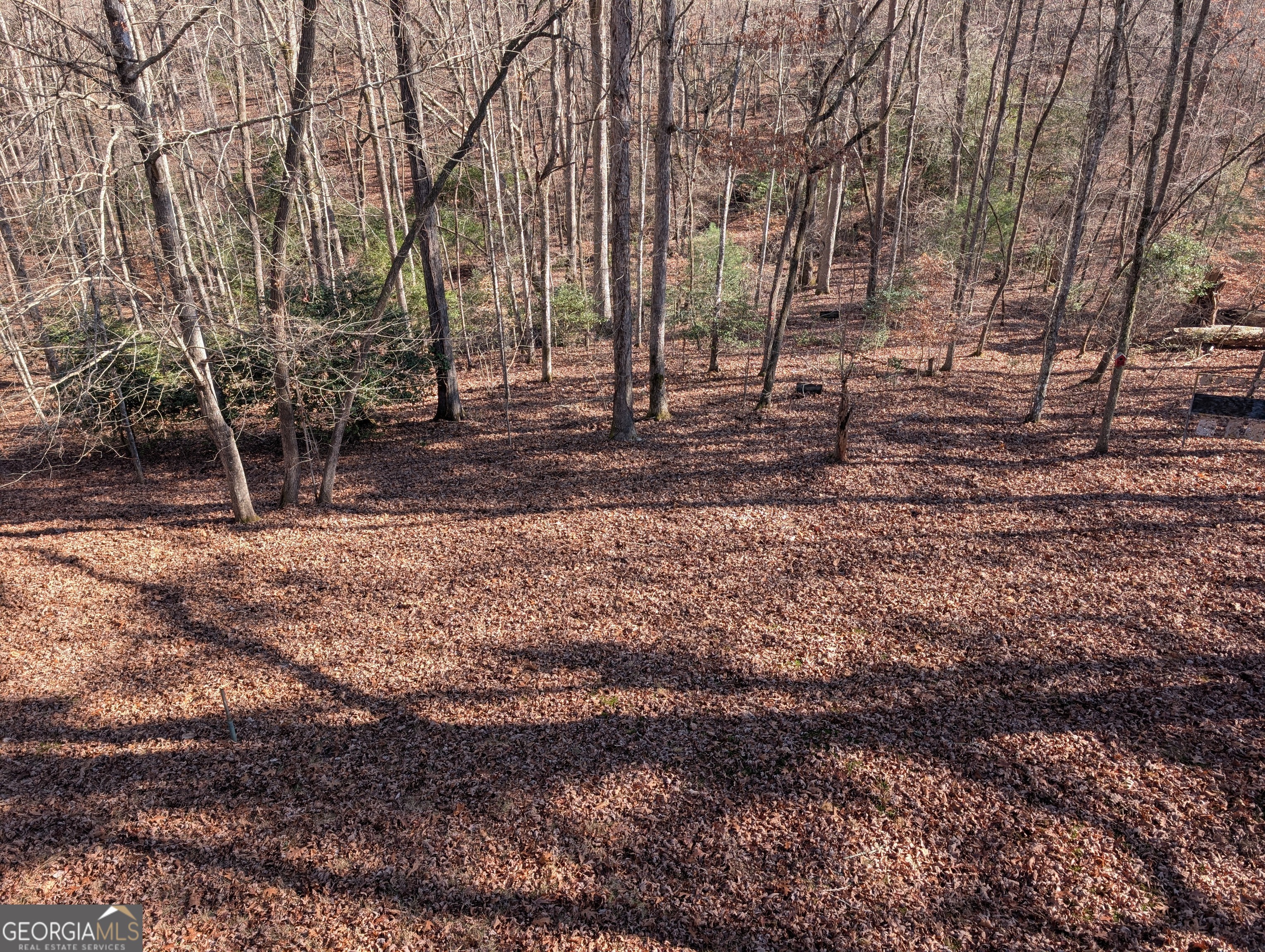 230 Pine Forest Loop Property Photo 37