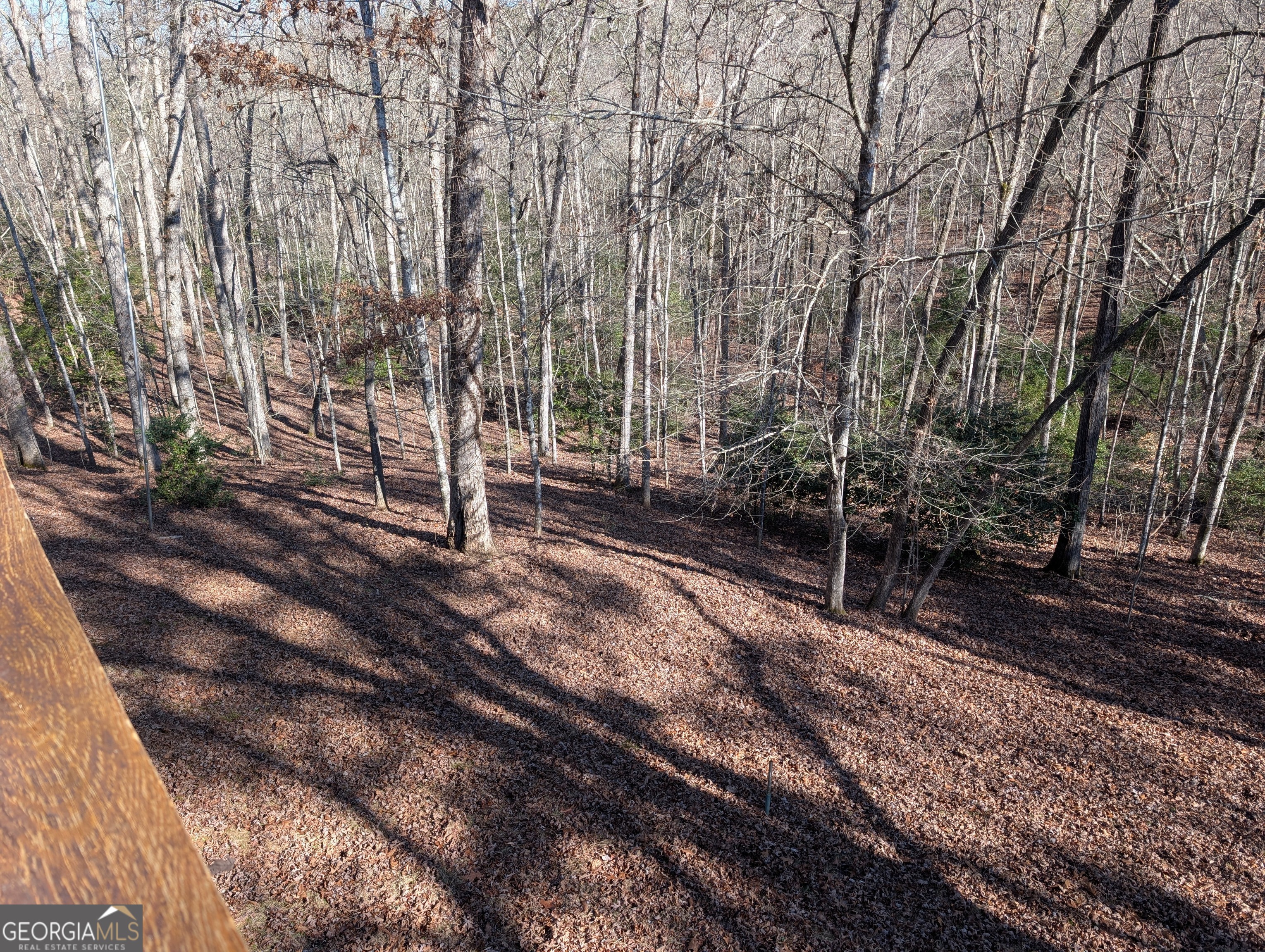 230 Pine Forest Loop Property Photo 38
