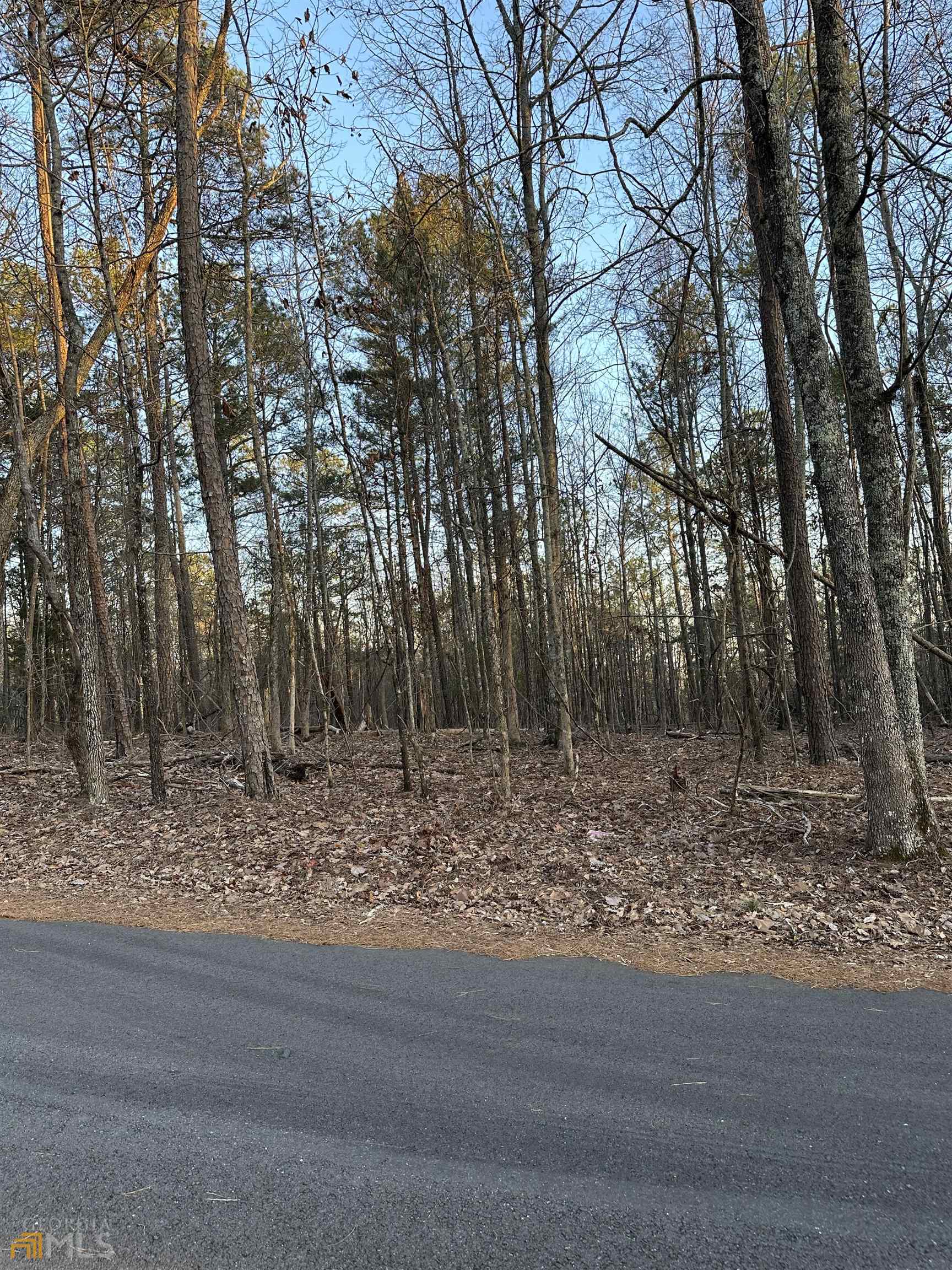 Lot 1 & Lot 15 Mountain Ridge Drive Property Photo 5