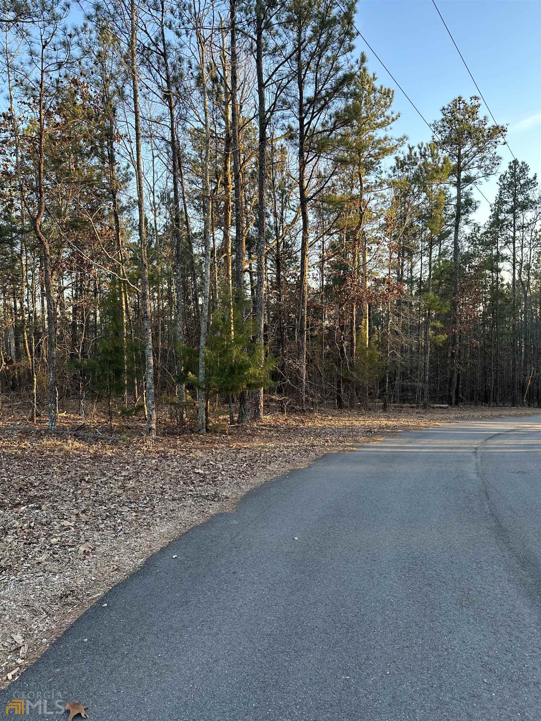 Lot 1 & Lot 15 Mountain Ridge Drive Property Photo 6