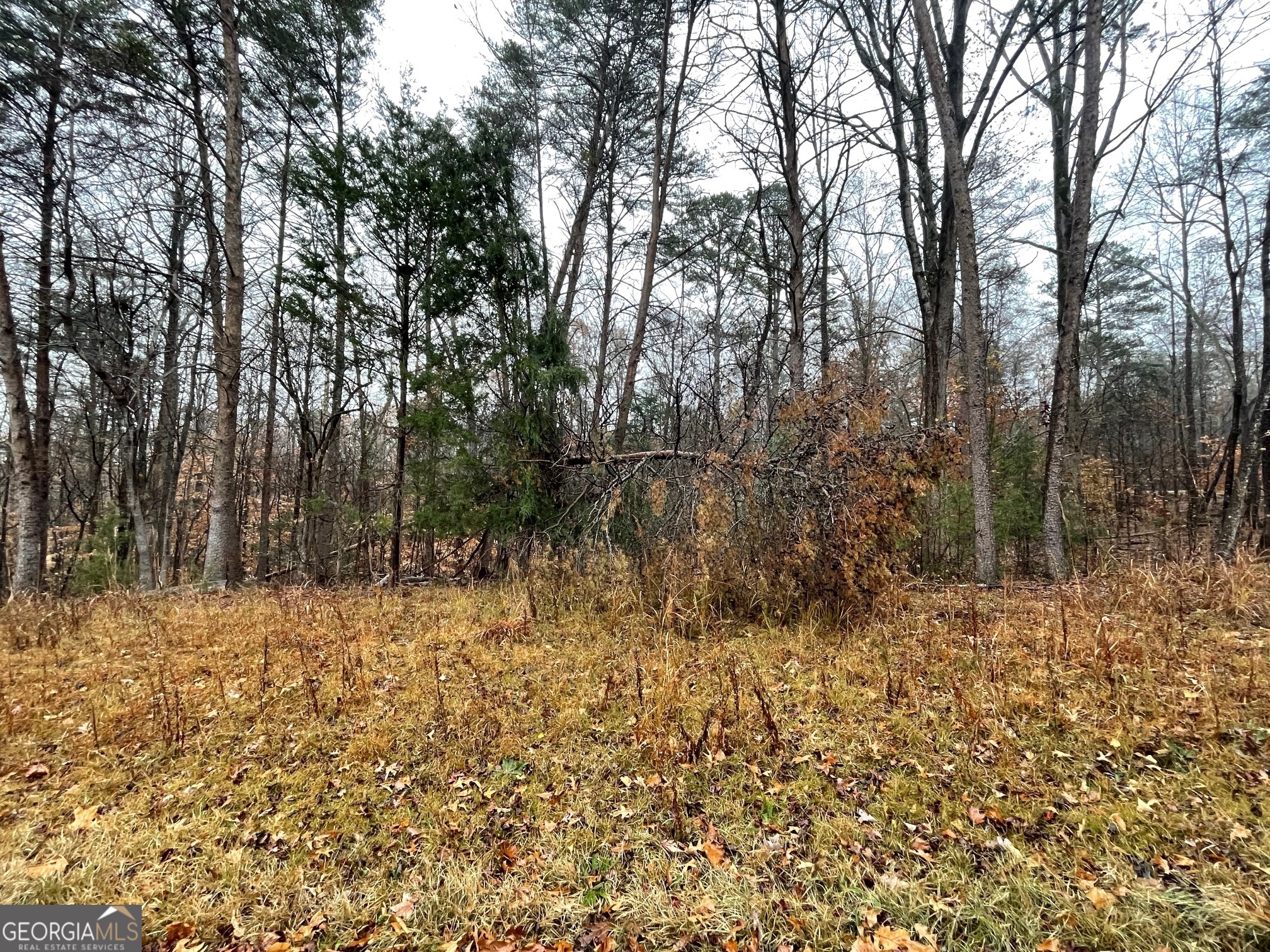 0 Nicklaus Drive Lot 851 Property Photo 1