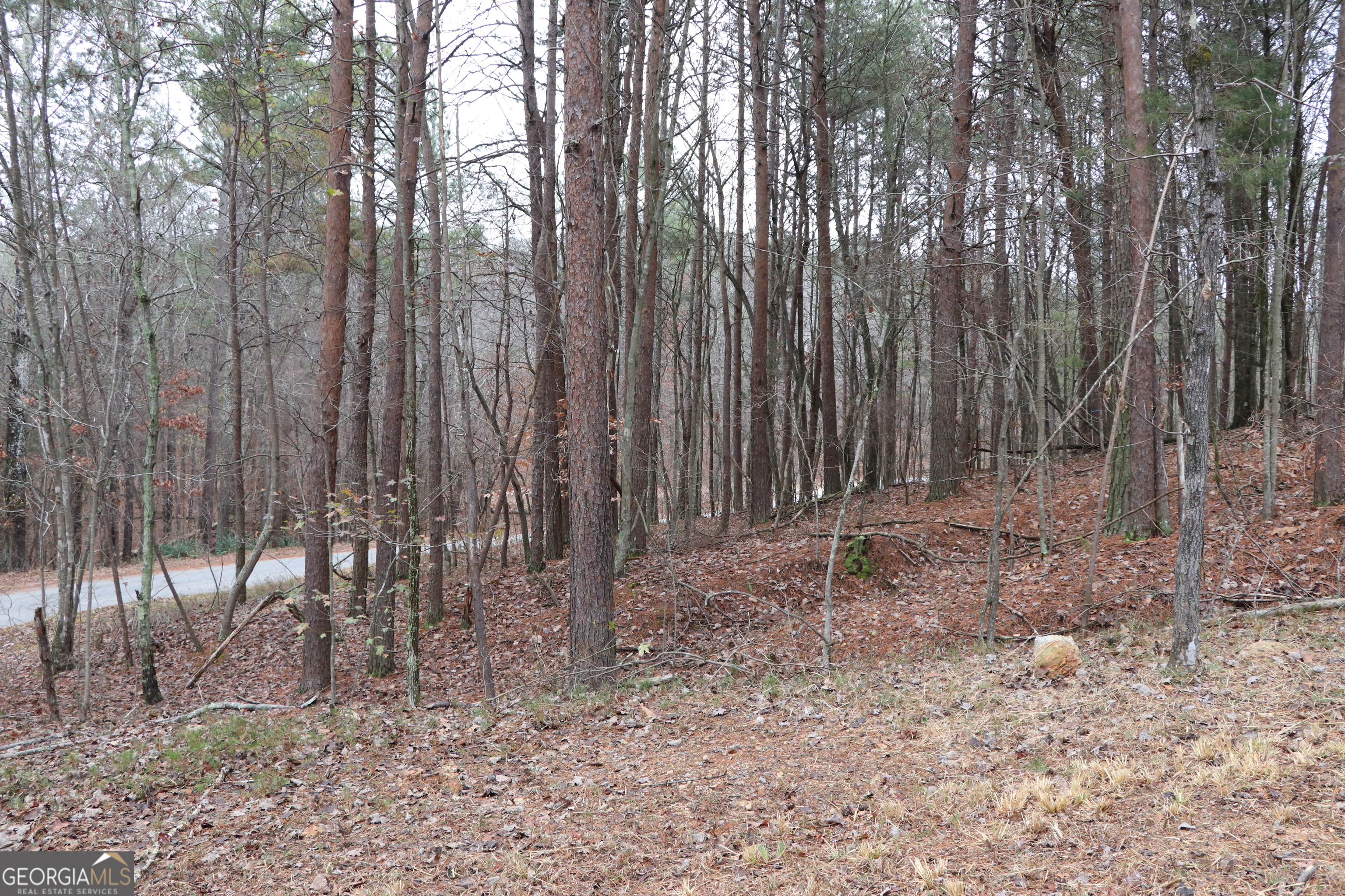 1217 Henderson Circle Property Photo 19