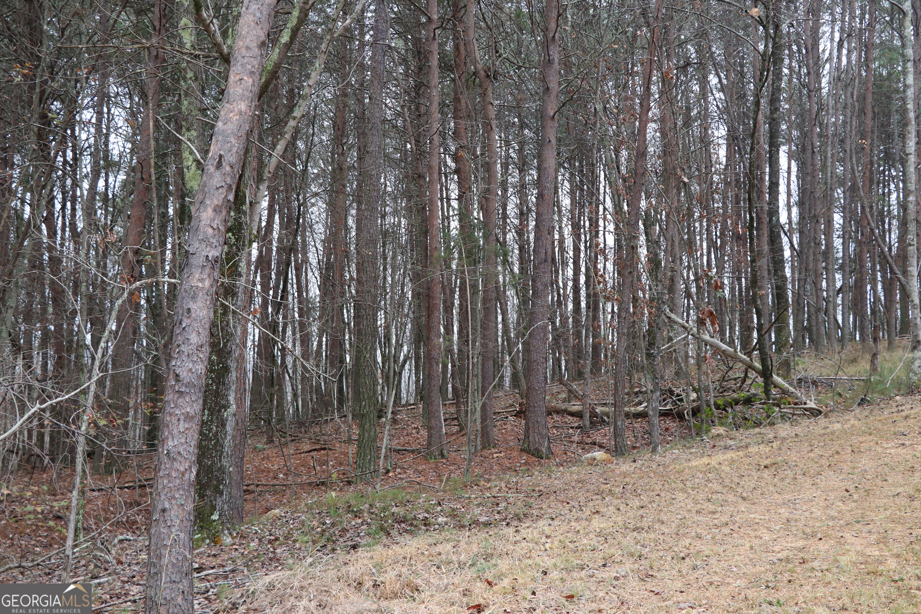 1217 Henderson Circle Property Photo 20