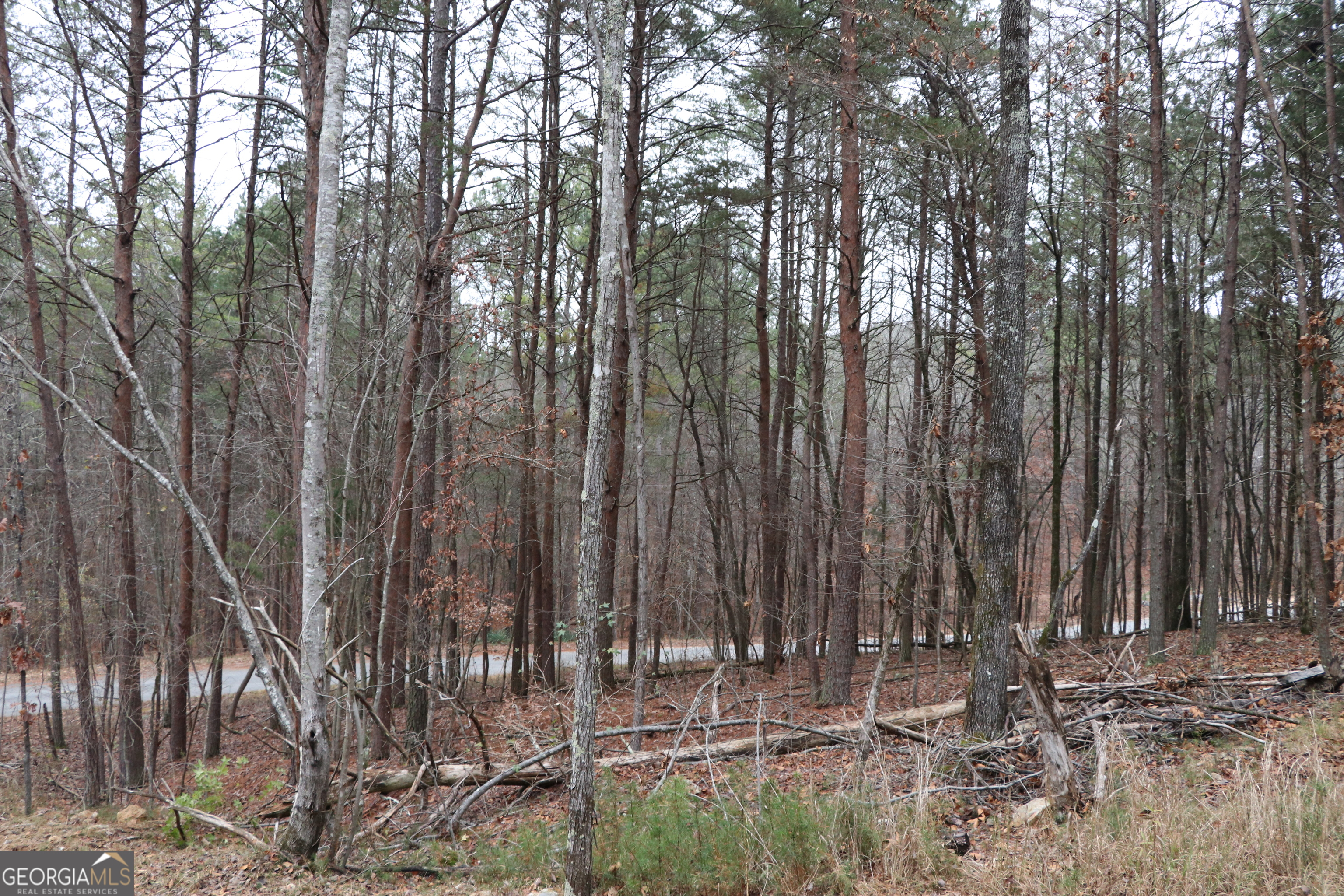 1217 Henderson Circle Property Photo 21