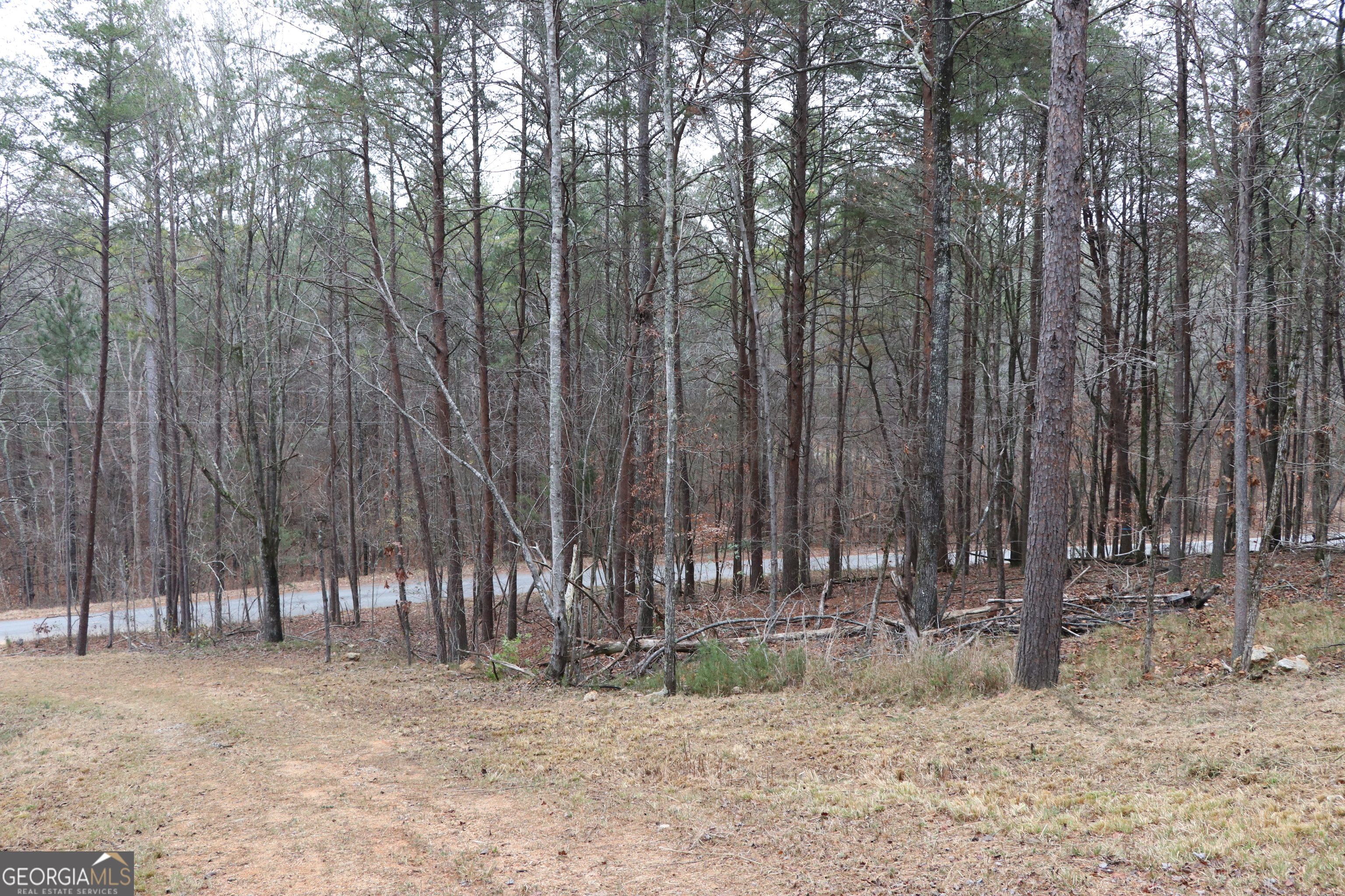 1217 Henderson Circle Property Photo 22