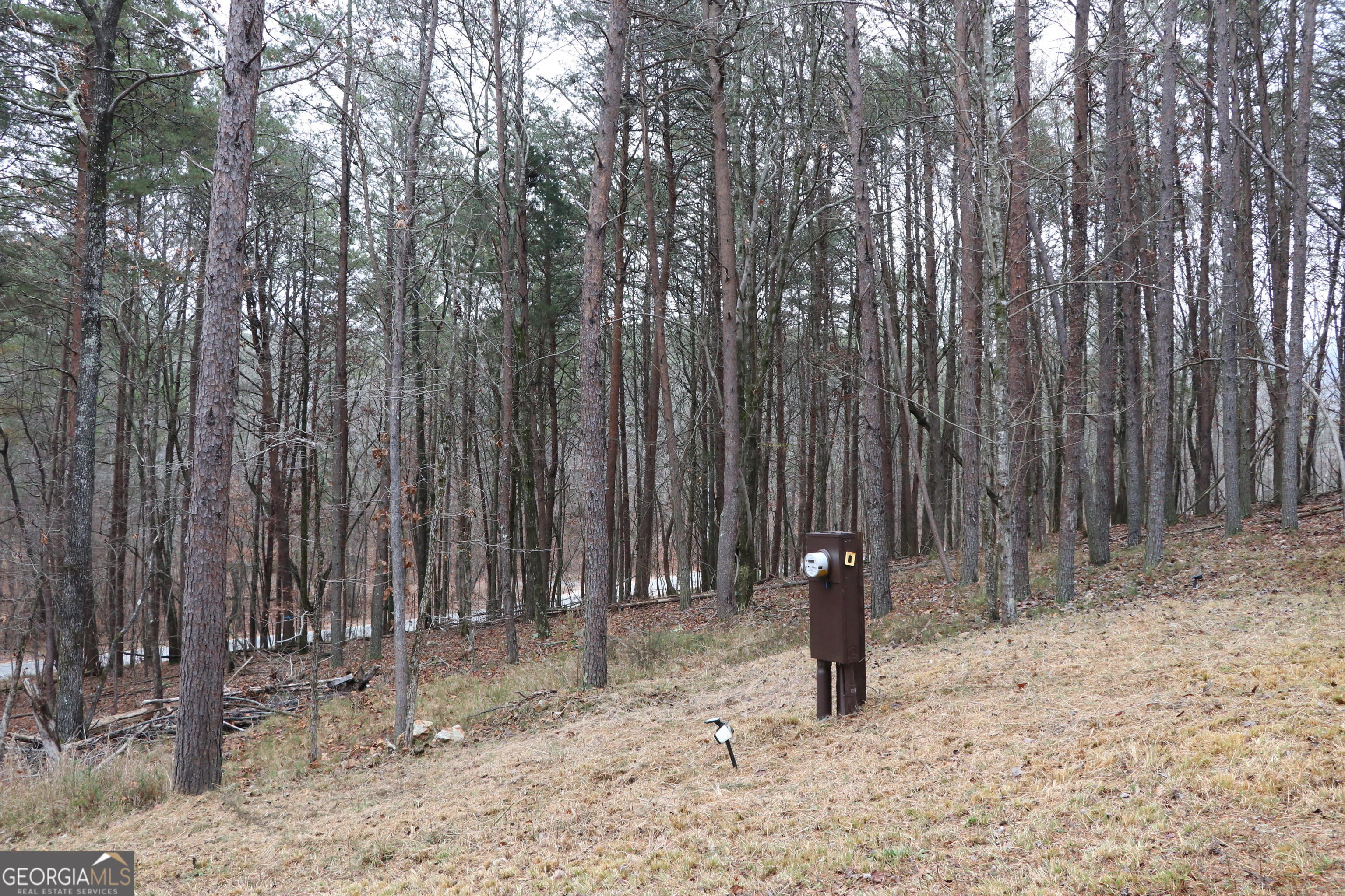 1217 Henderson Circle Property Photo 23