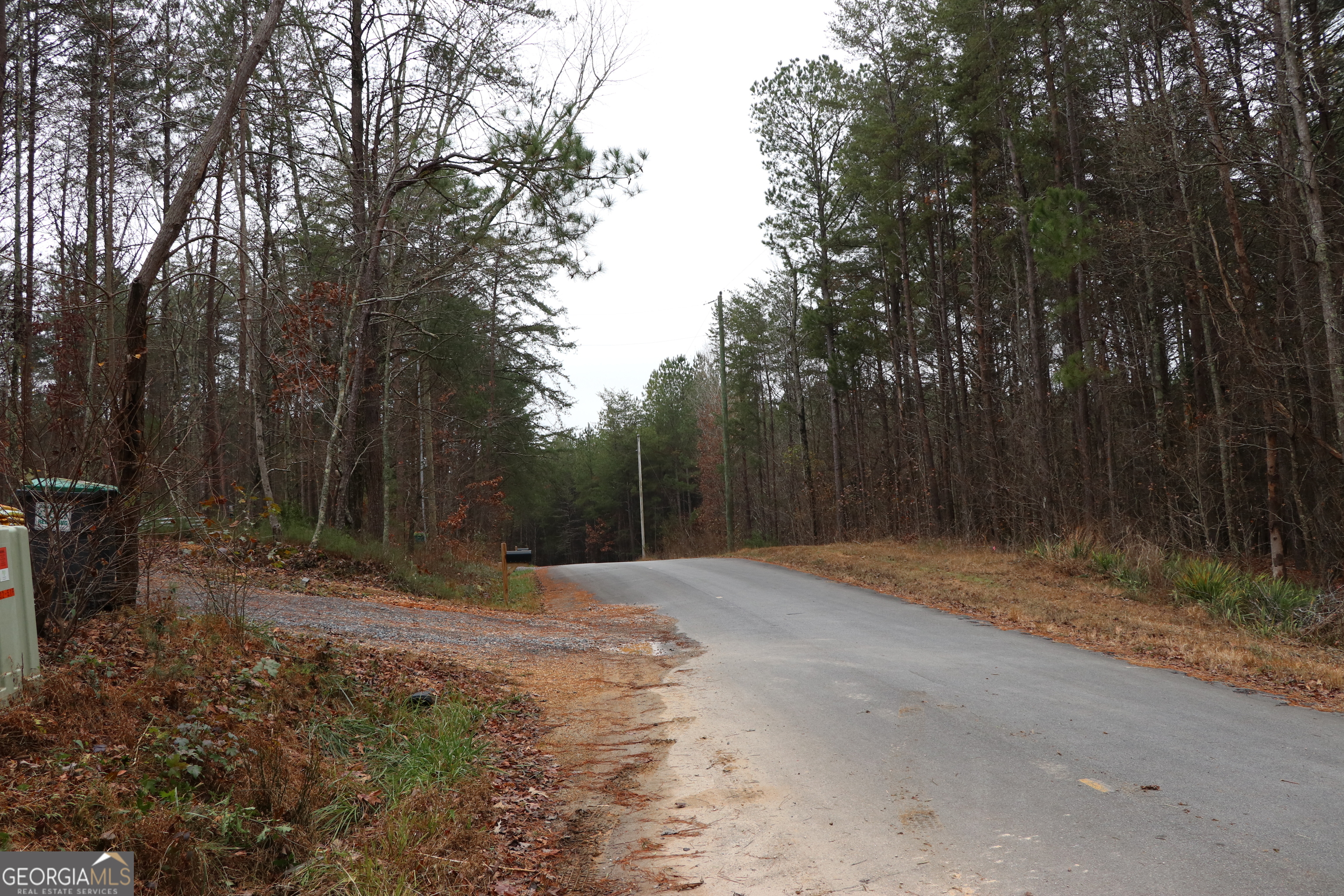 1217 Henderson Circle Property Photo 49