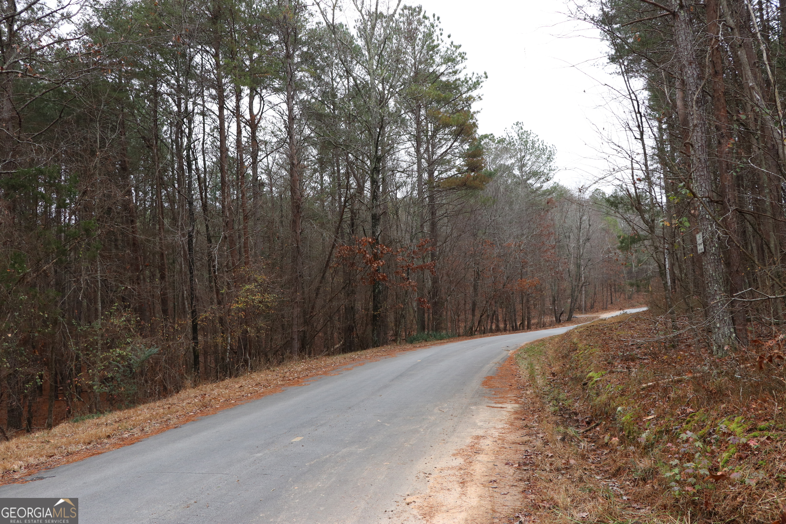 1217 Henderson Circle Property Photo 50