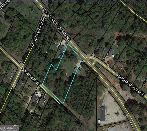 0 Ne Old Covington Road Property Photo 1