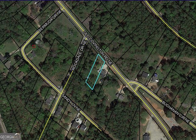 0 Ne Old Covington Road Property Photo 1