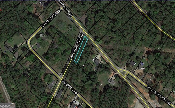 0 Ne Old Covington Road Property Photo 1