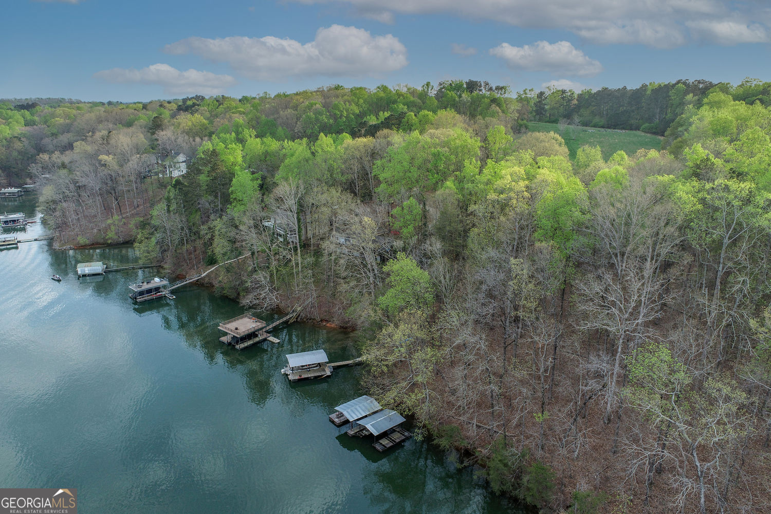 5325 Browns Bridge Road Property Photo 1
