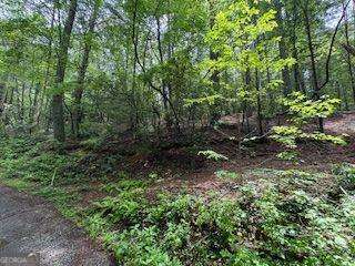 0 Ts Jarrard Rd Property Photo 2