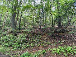 0 Ts Jarrard Rd Property Photo 3