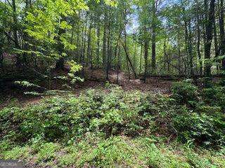0 Ts Jarrard Rd Property Photo 4