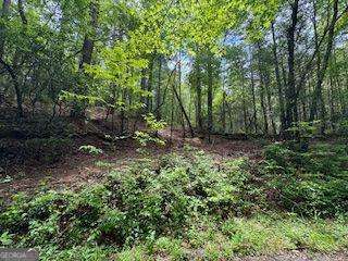 0 Ts Jarrard Rd Property Photo 6
