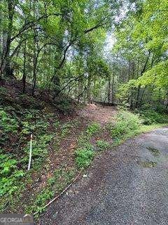 0 Ts Jarrard Rd Property Photo 7