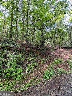 0 Ts Jarrard Rd Property Photo 8