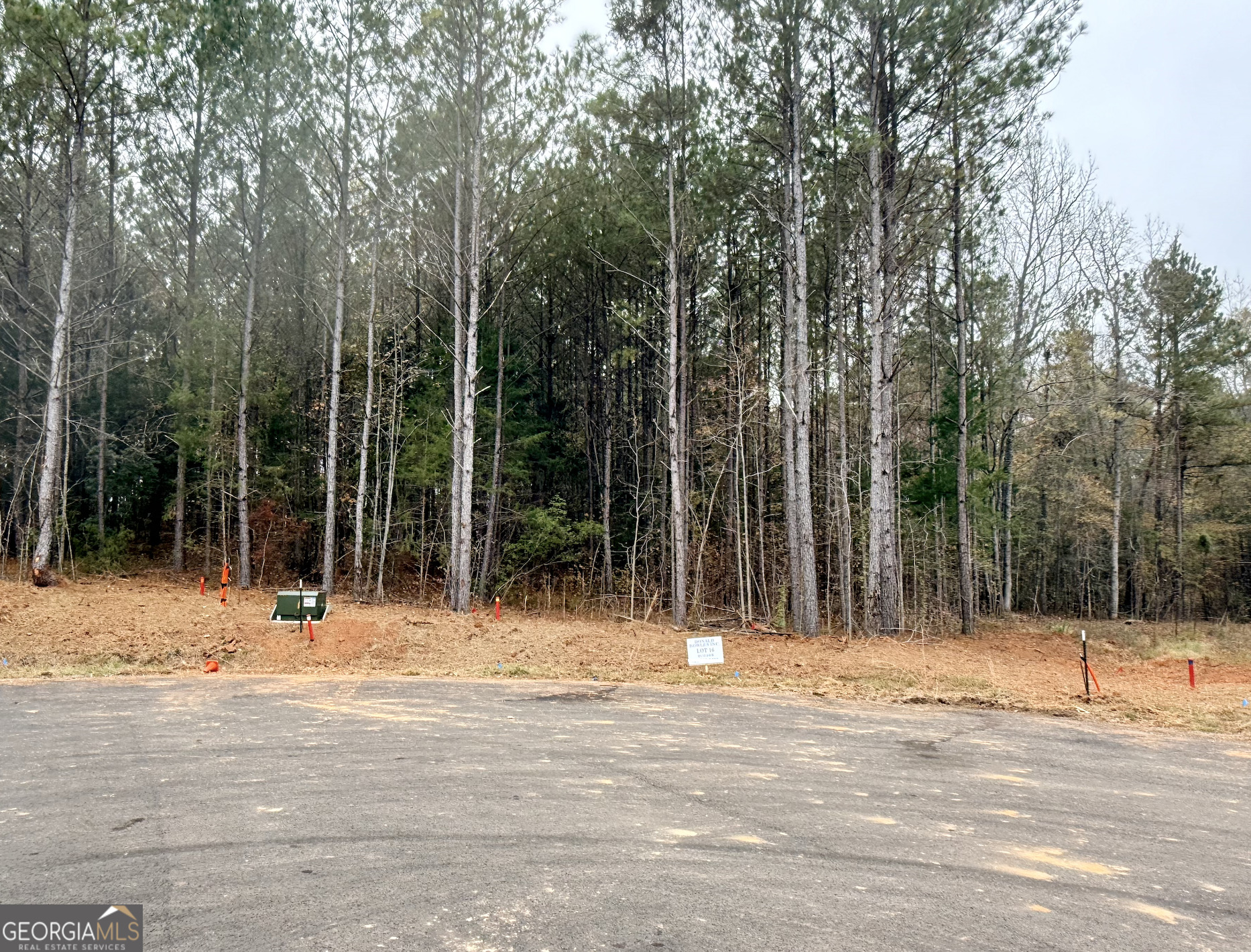 Lot 16 Rolling Meadows Way Property Photo 1