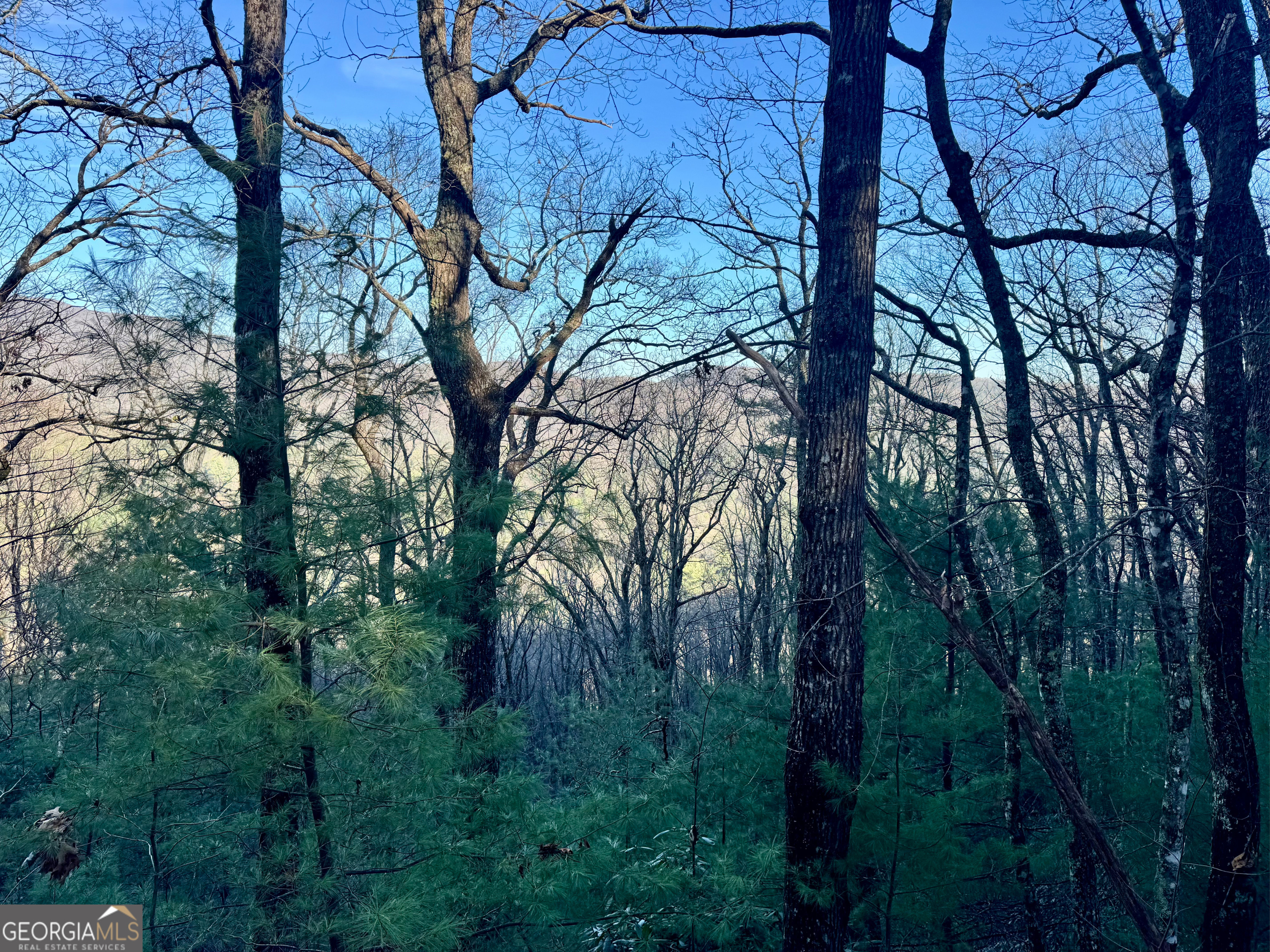0 Mule Branch Road Property Photo 1