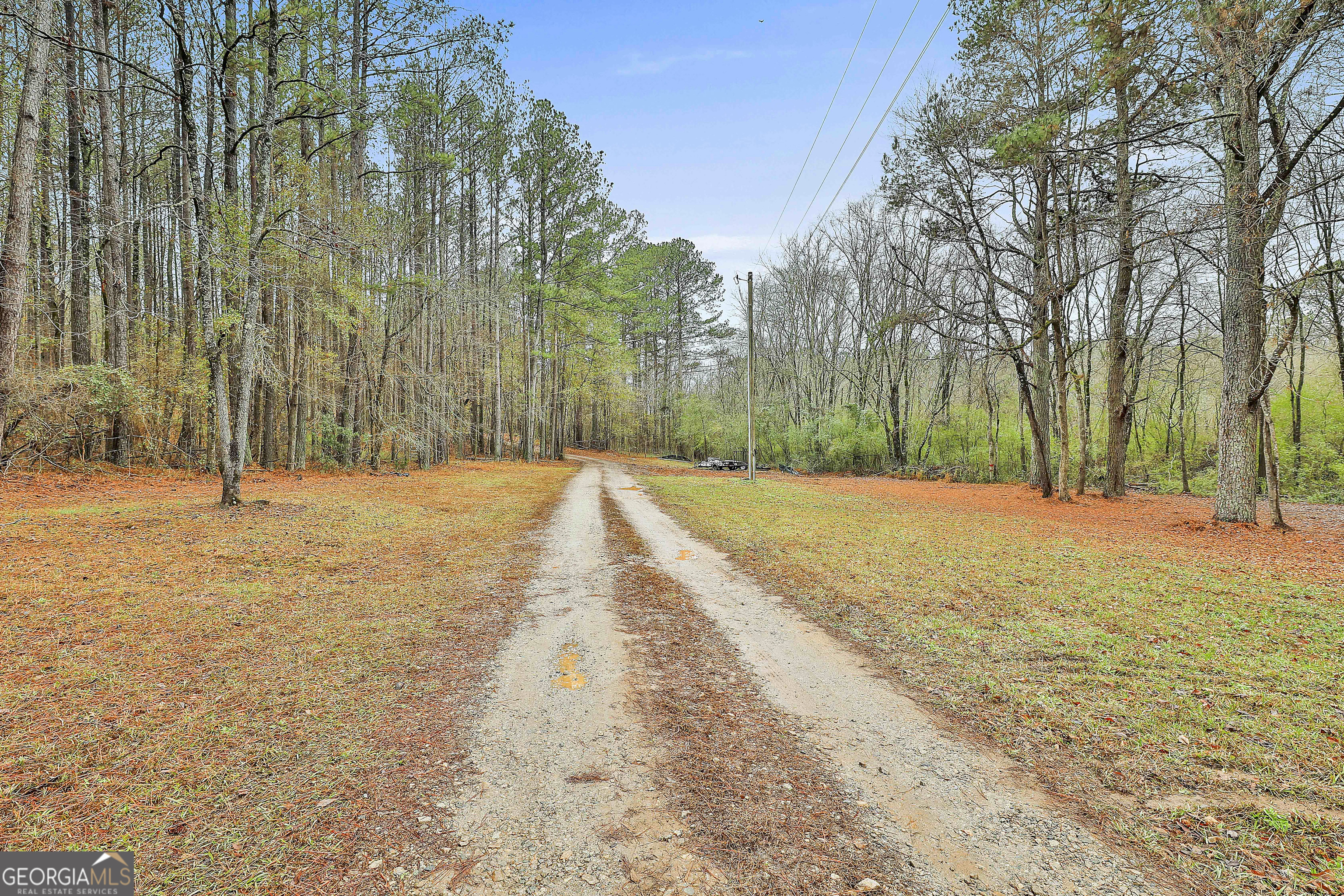 250 Mobley Bridge Road Property Photo 4