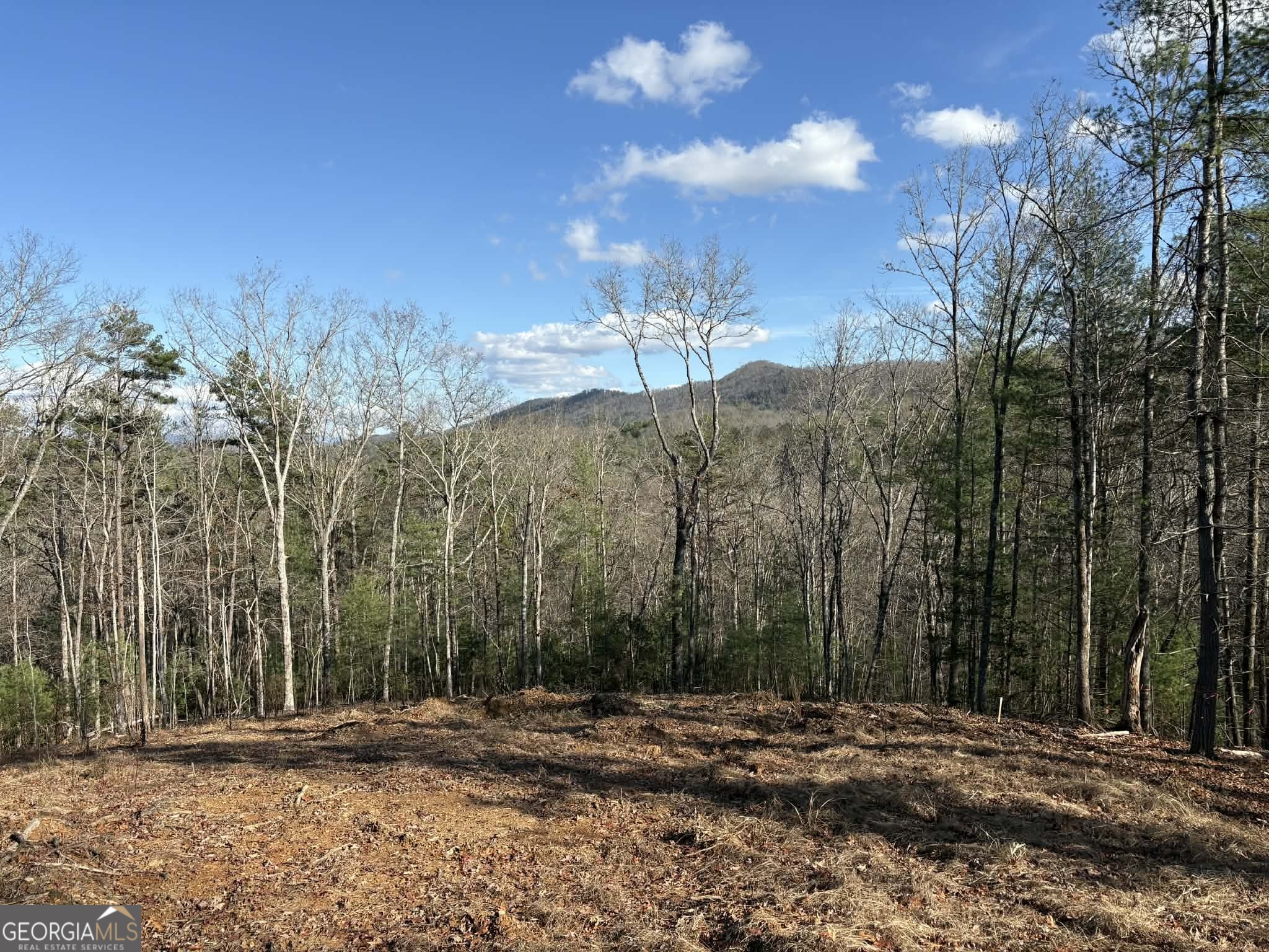 Lot 86 Lookout Ridge Property Photo 2