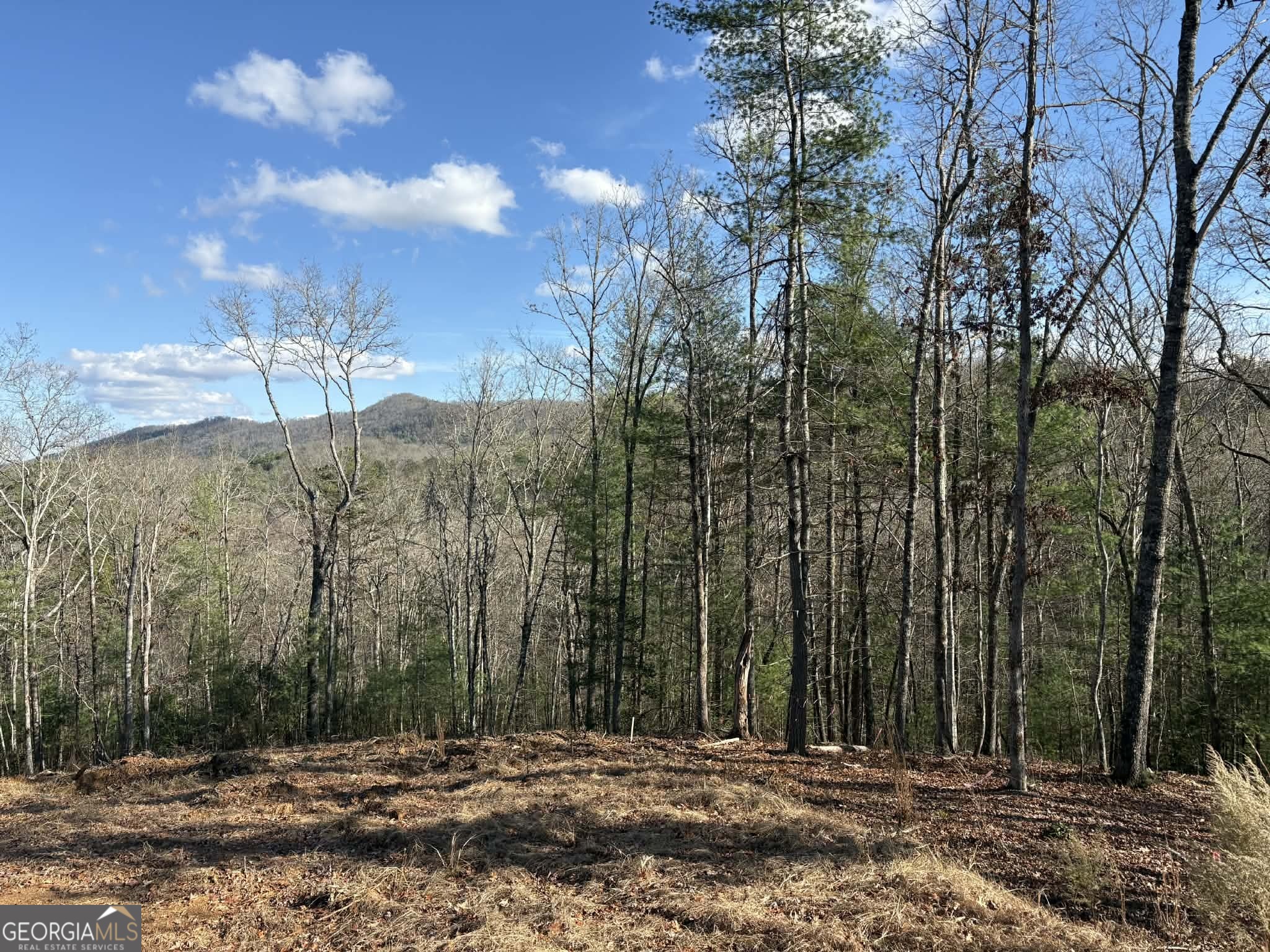 Lot 86 Lookout Ridge Property Photo 4