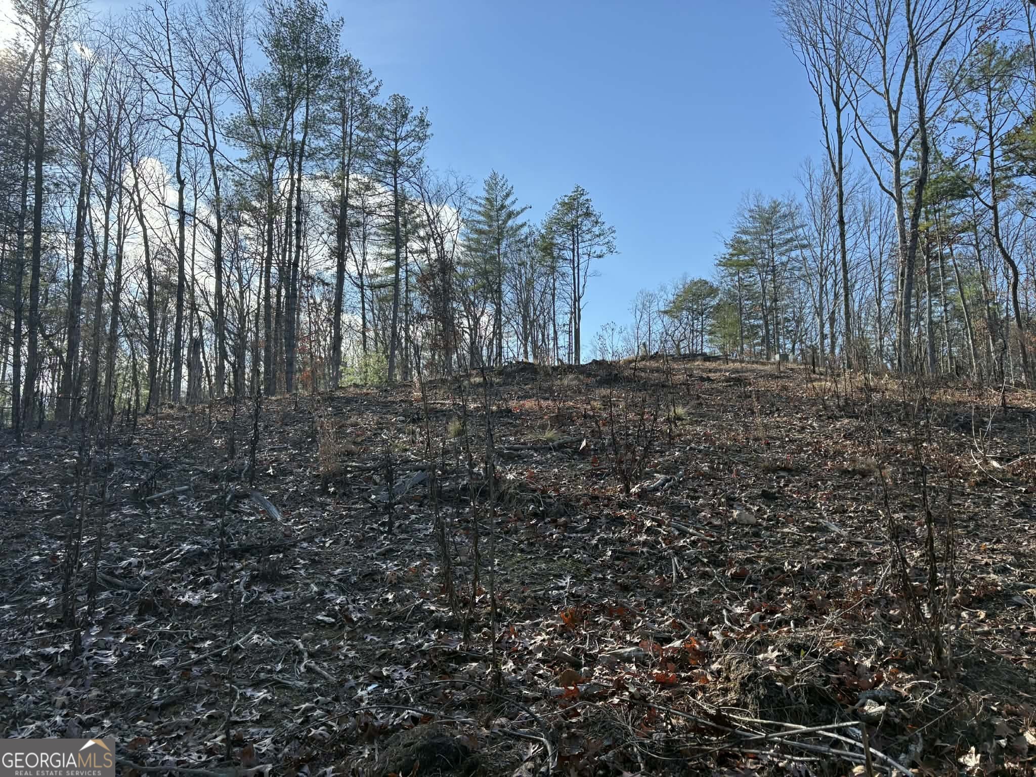 Lot 86 Lookout Ridge Property Photo 5