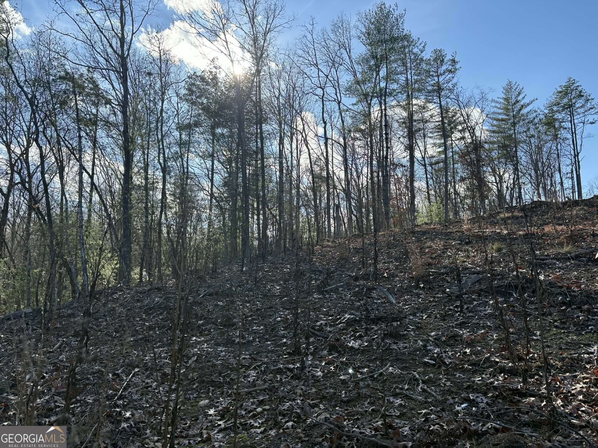 Lot 86 Lookout Ridge Property Photo 6