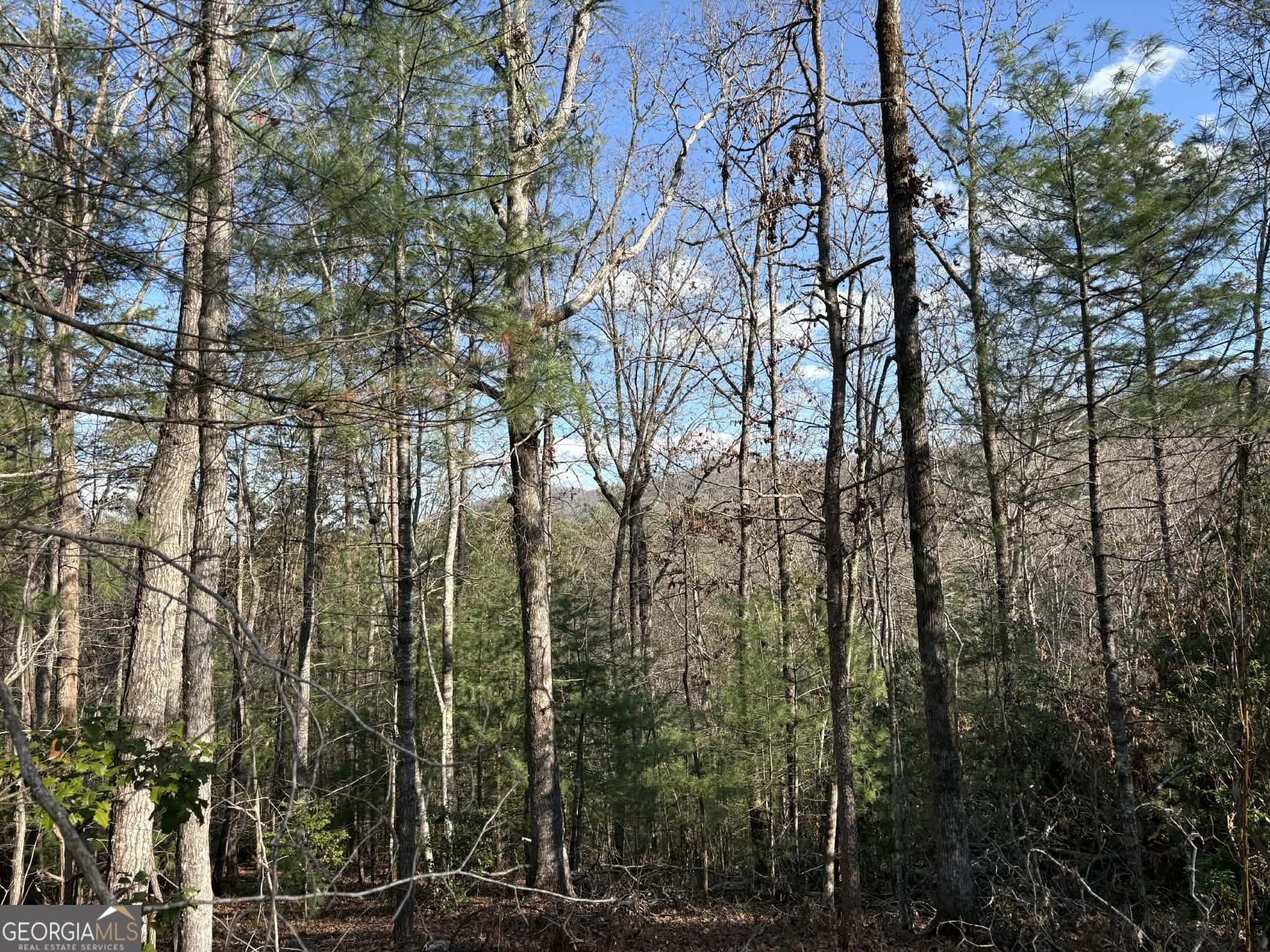 Lot 86 Lookout Ridge Property Photo 7