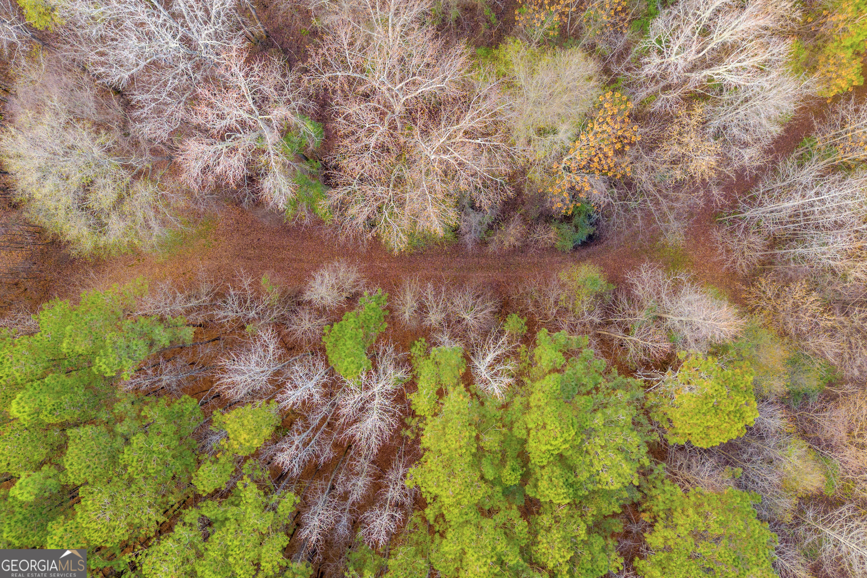 375 Hwy 78 Property Photo 11