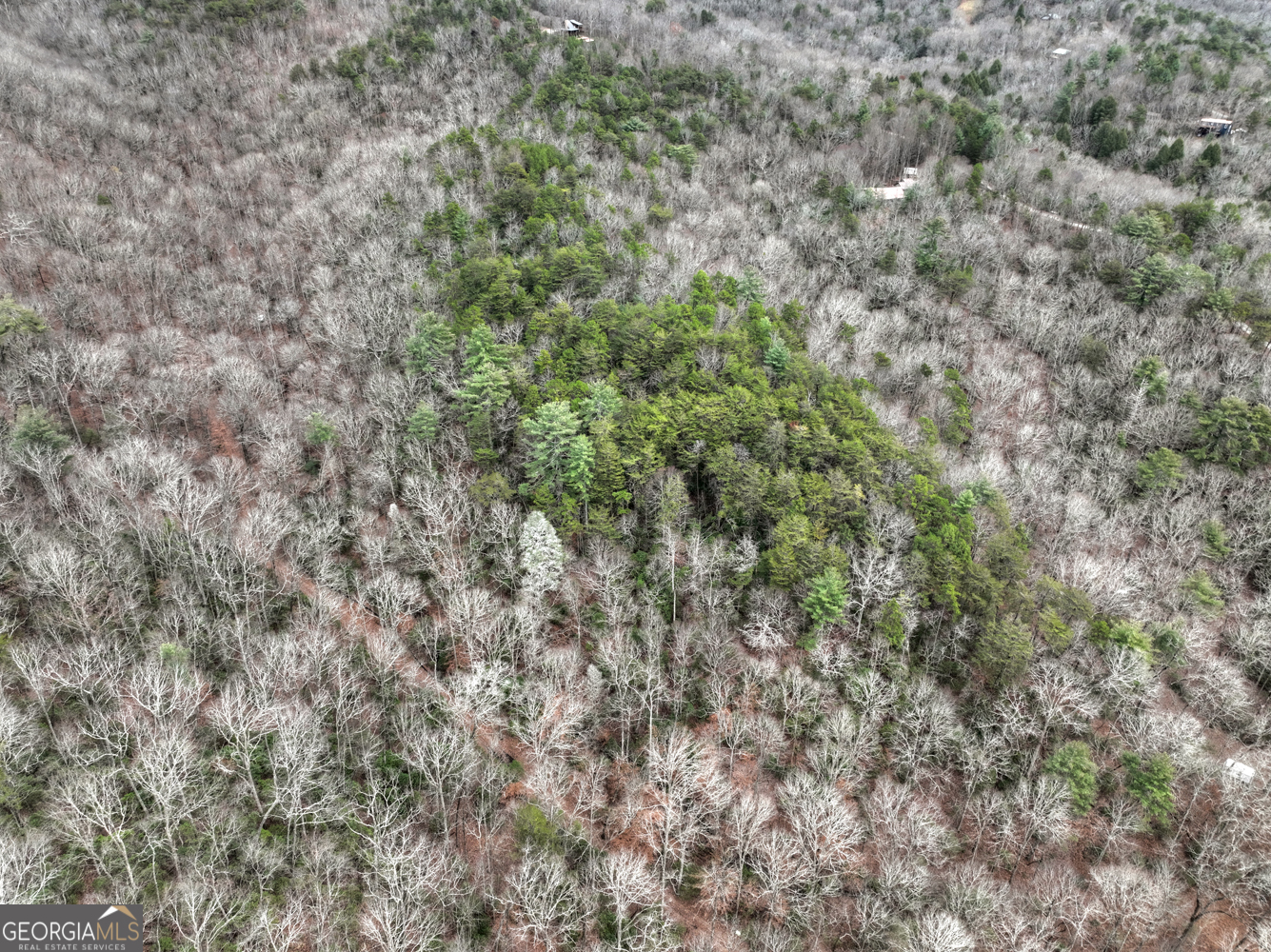 0 Spruill Drive Property Photo 12
