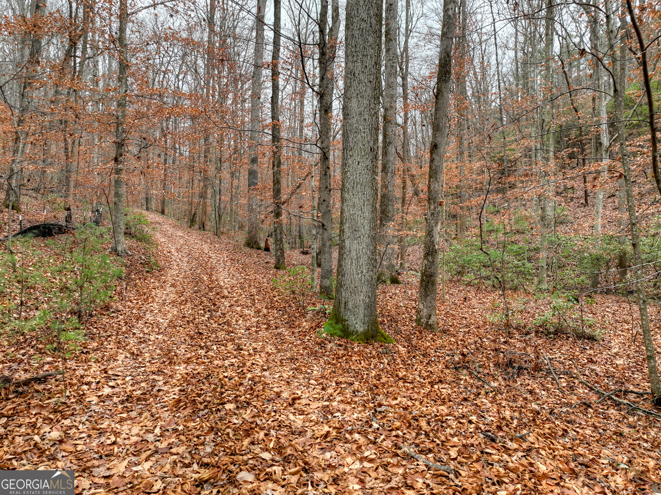 0 Spruill Drive Property Photo 16