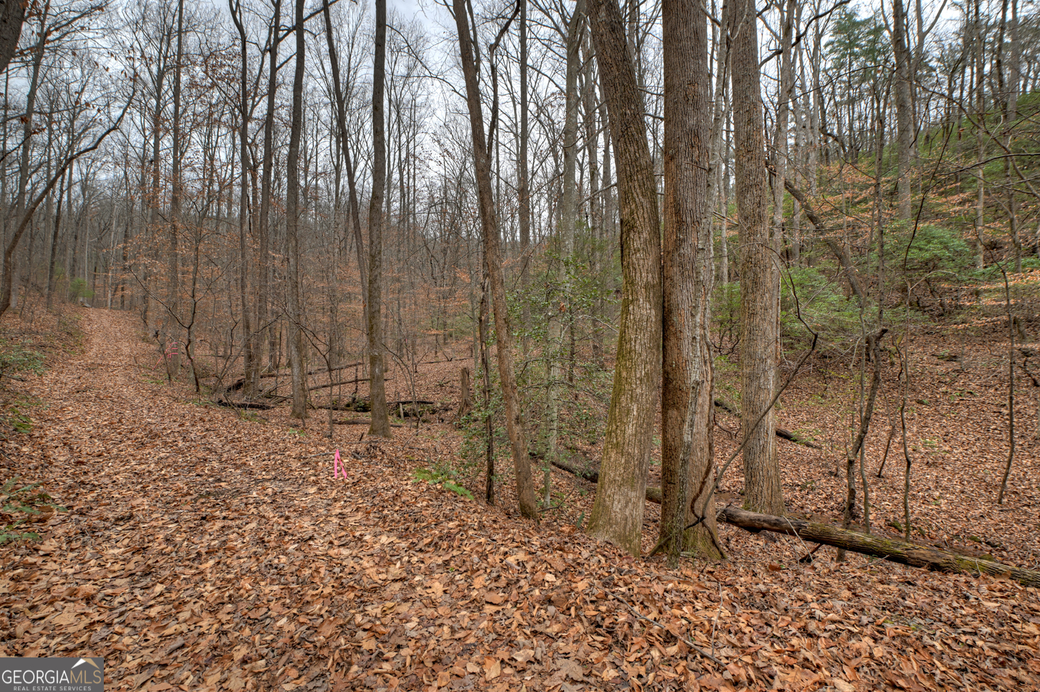 0 Spruill Drive Property Photo 20