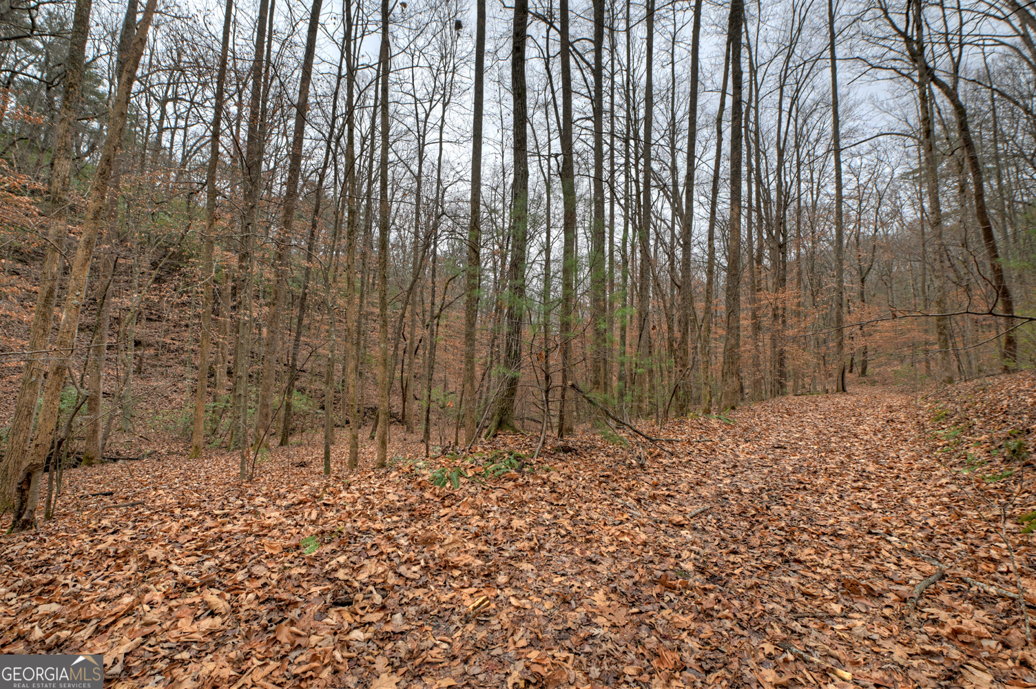 0 Spruill Drive Property Photo 21