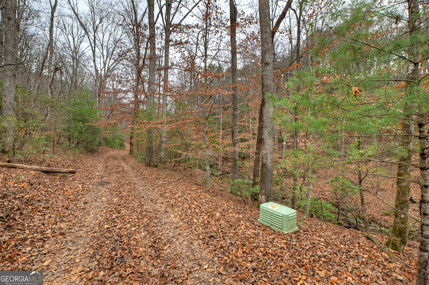 0 Spruill Drive Property Photo 22