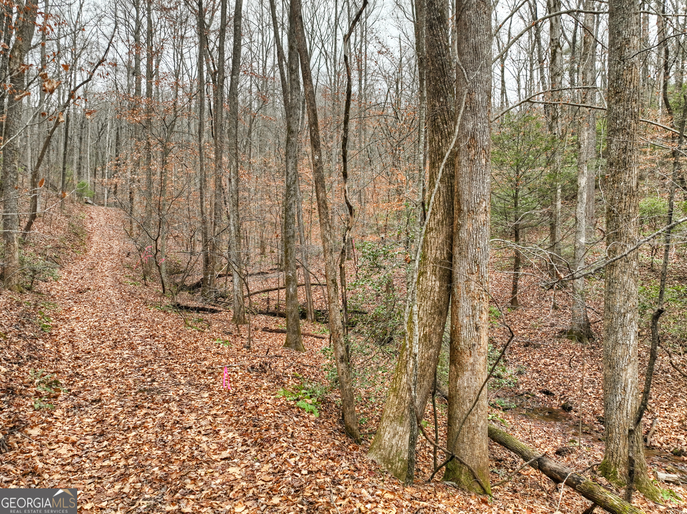 0 Spruill Drive Property Photo 23