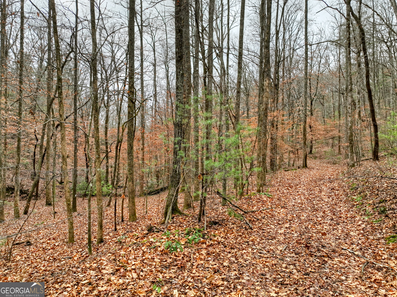 0 Spruill Drive Property Photo 24