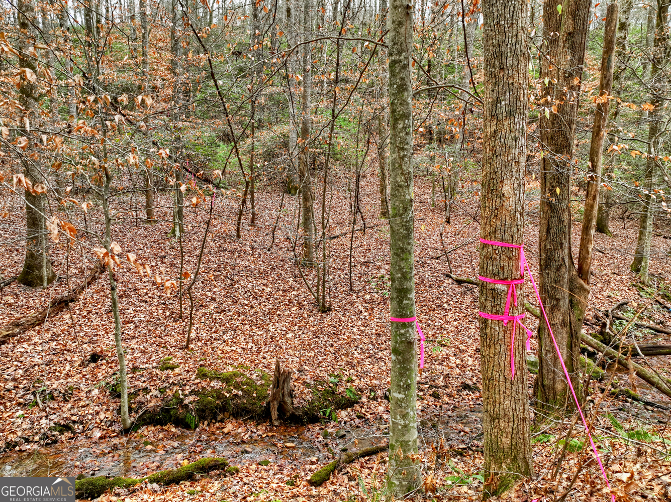 0 Spruill Drive Property Photo 25
