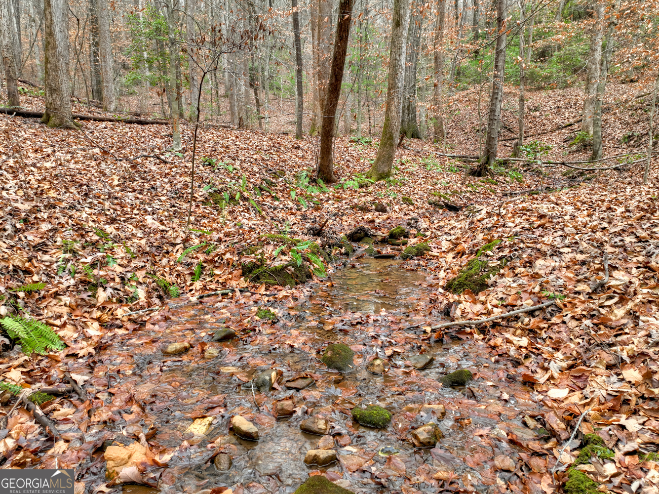 0 Spruill Drive Property Photo 28